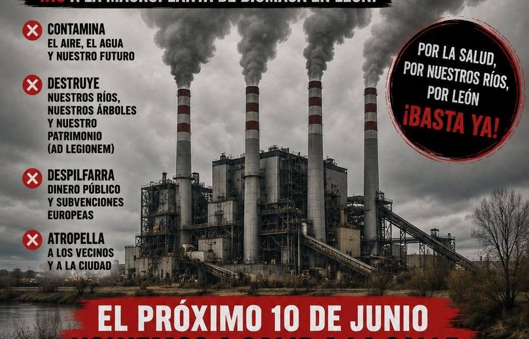 Manifestación contra la macroplanta de biomasa – 10 de Junio 2026